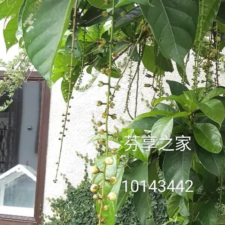 Green 58 B&B